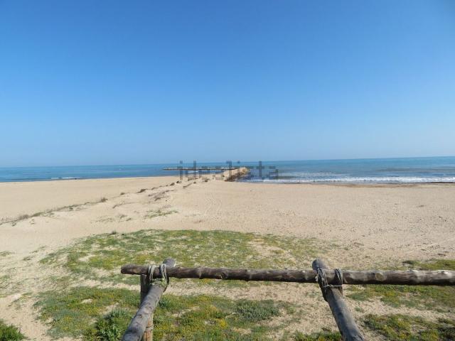 Piso, Denia