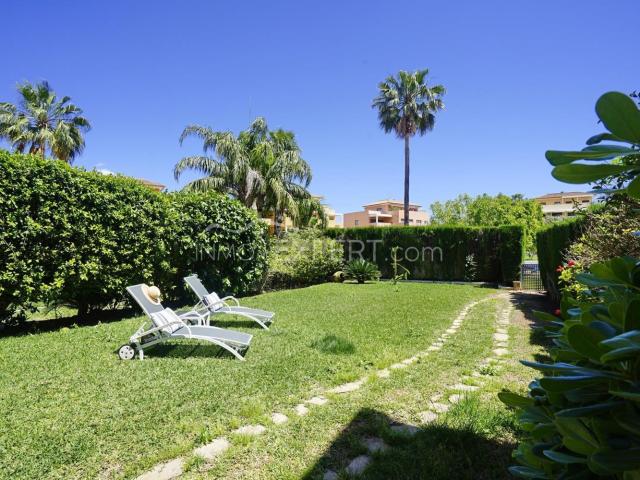 Piso, Denia