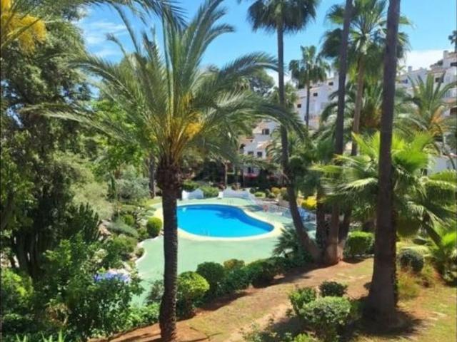 Piso, Denia