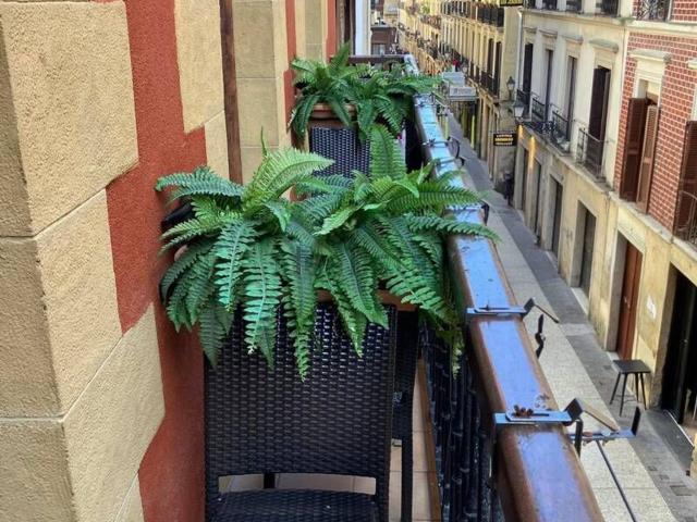 Piso, Donostia San Sebastián