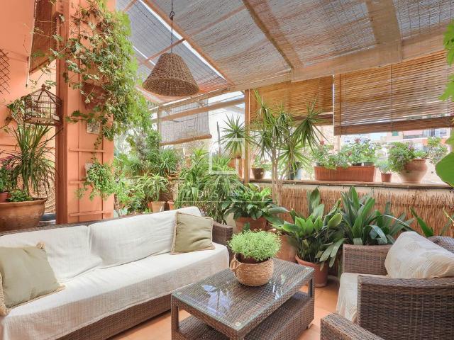 Piso exclusivo de 300 m2 en venta en Palma de Mallorca, España
