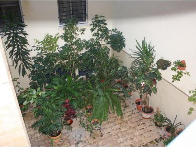 Piso exterior reformado en Camas