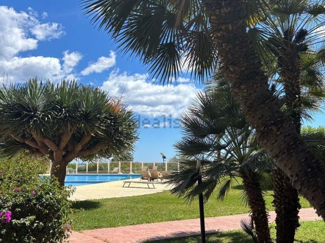 Piso, Eivissa