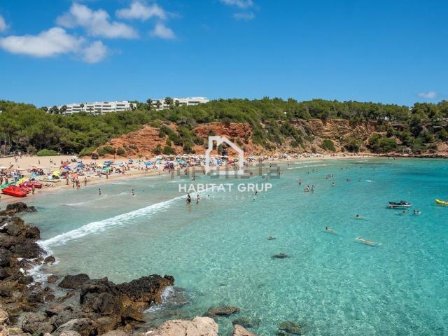 Piso, Eivissa