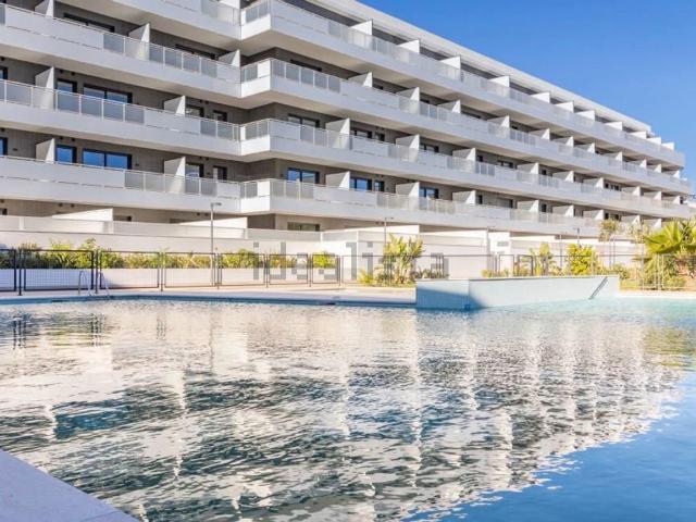 Piso, Eivissa