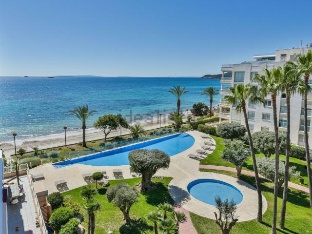 Piso, Eivissa