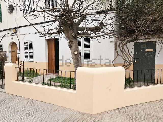 Piso, Eivissa