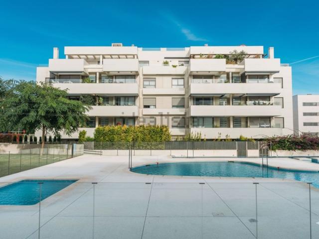 Piso, Eivissa