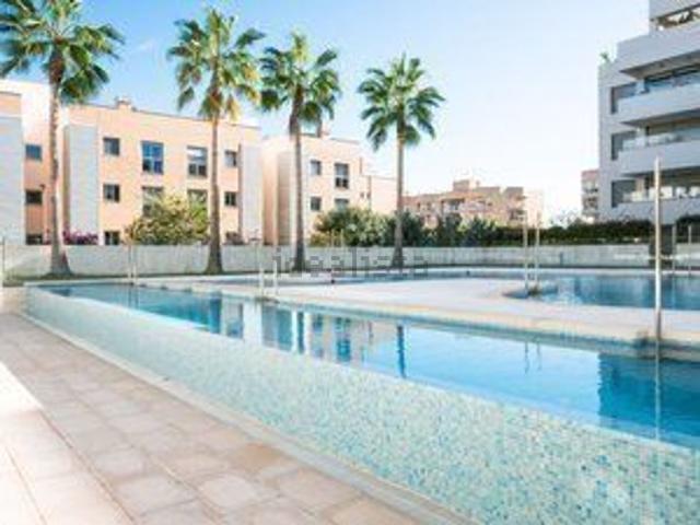 Piso, Eivissa