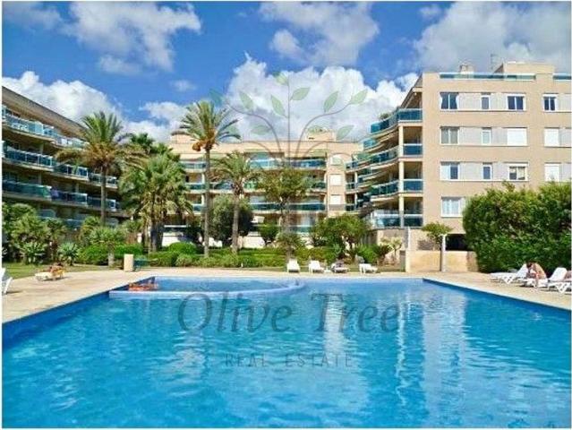 Piso, Eivissa