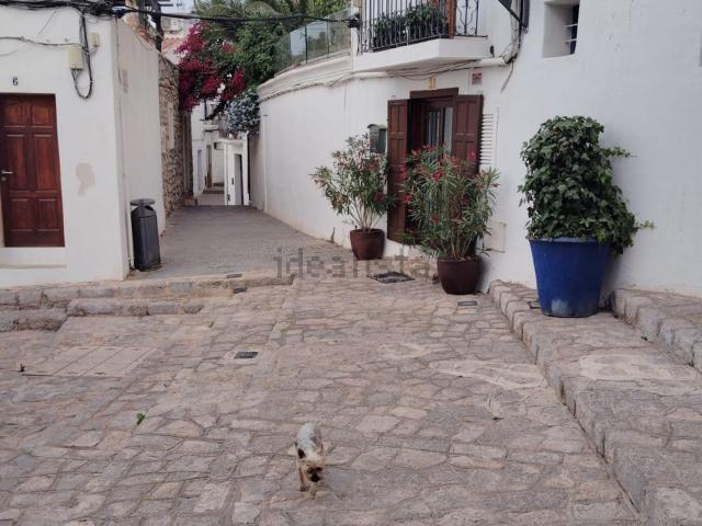 Piso, Eivissa