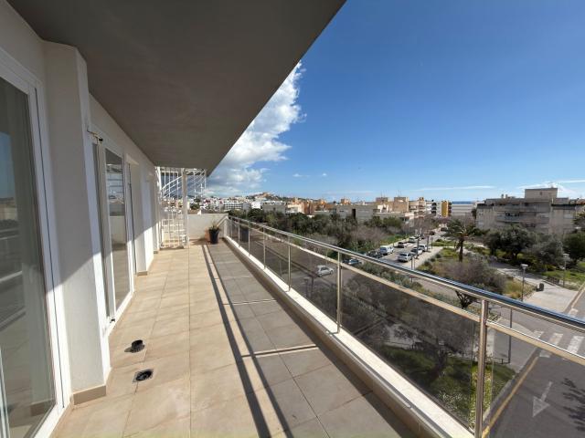 Piso, Eivissa