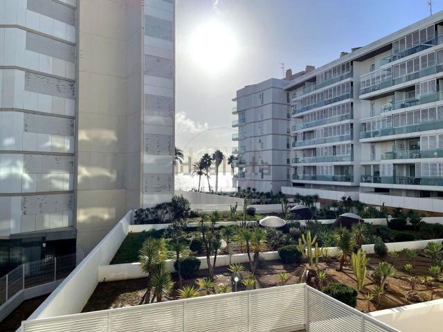 Piso, Eivissa