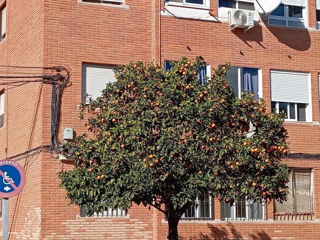 Piso, El Acequión, Torrevieja