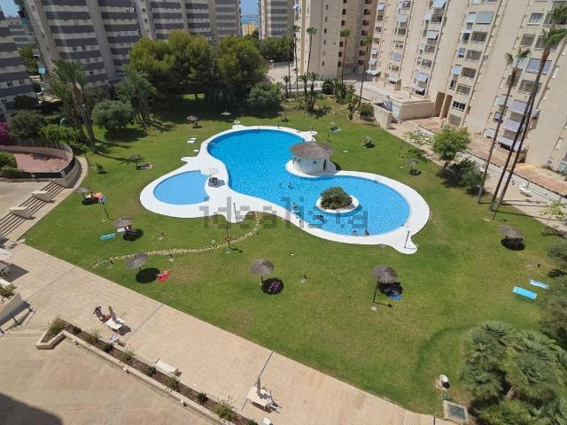 Piso, El Campello