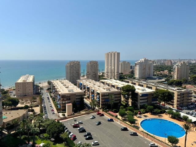 Piso, El Campello