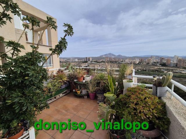 Piso, El Campello