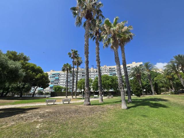 Piso, El Campello