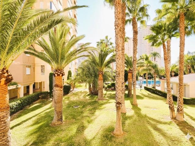Piso, El Campello