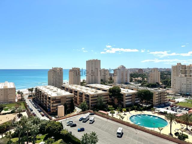 Piso, El Campello