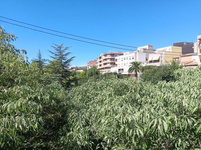 Piso, El Perello