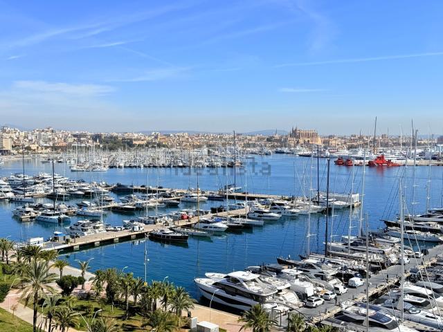 Piso, El Terreno, Palma de Mallorca