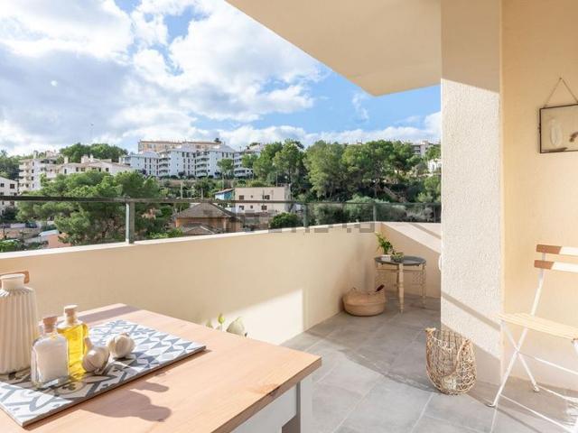 Piso, El Terreno, Palma de Mallorca