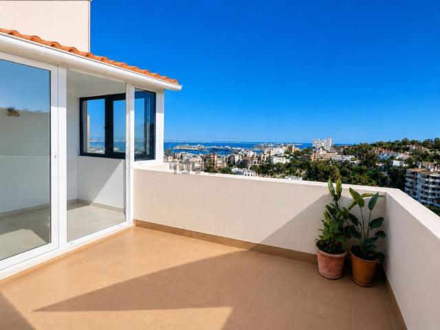 Piso, El Terreno, Palma de Mallorca