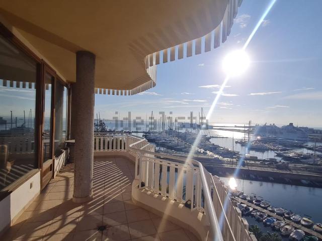 Piso, El Terreno, Palma de Mallorca
