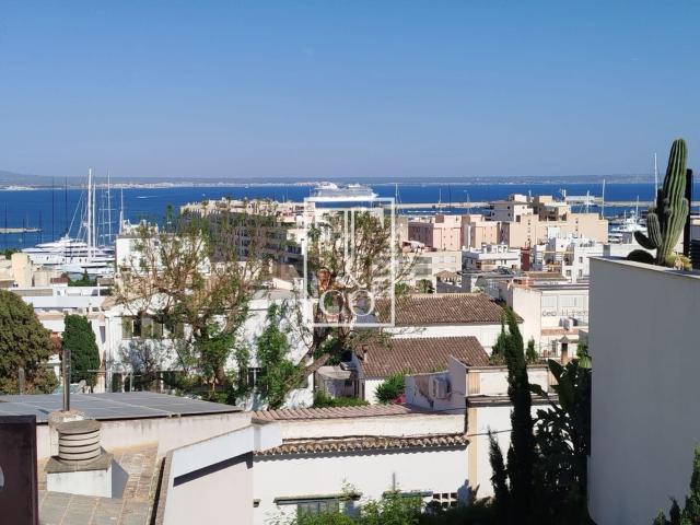Piso, El Terreno, Palma de Mallorca