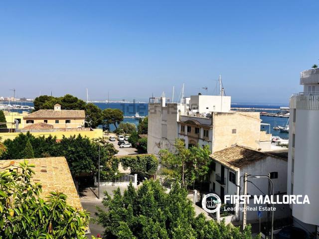 Piso, El Terreno, Palma de Mallorca