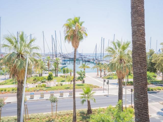 Piso, El Terreno, Palma de Mallorca