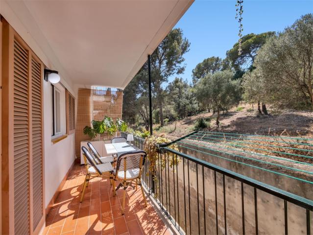 Piso, El Terreno, Palma de Mallorca