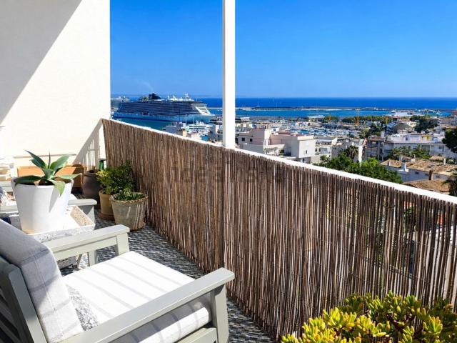 Piso, El Terreno, Palma de Mallorca