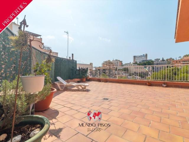 Piso, El Terreno, Palma de Mallorca