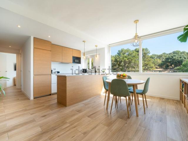 Piso, El Terreno, Palma de Mallorca