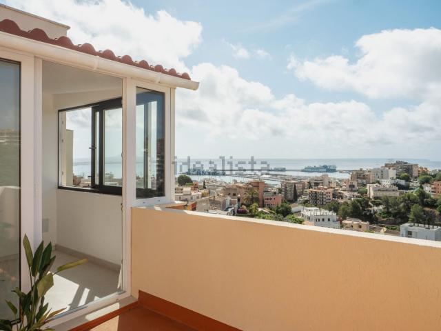 Piso, El Terreno, Palma de Mallorca