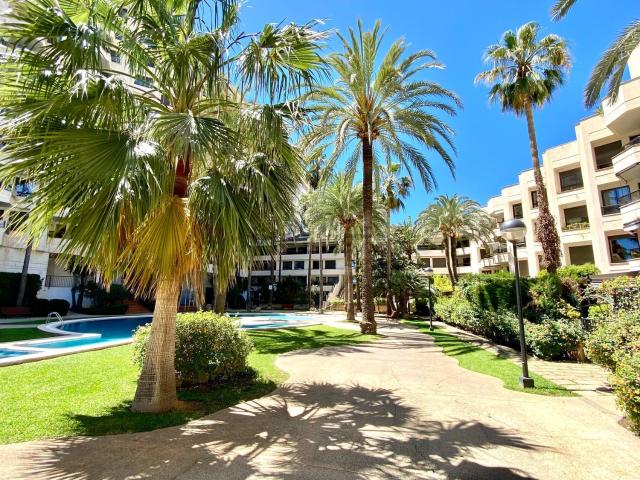 Piso, El Terreno, Palma de Mallorca