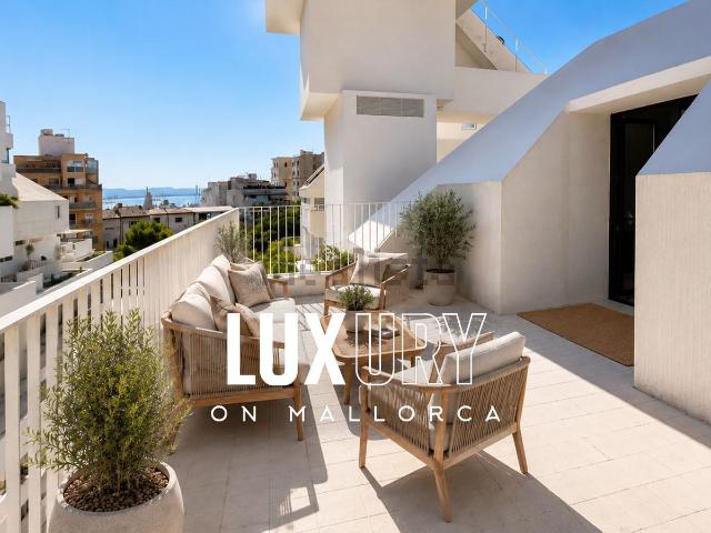 Piso, El Terreno, Palma de Mallorca
