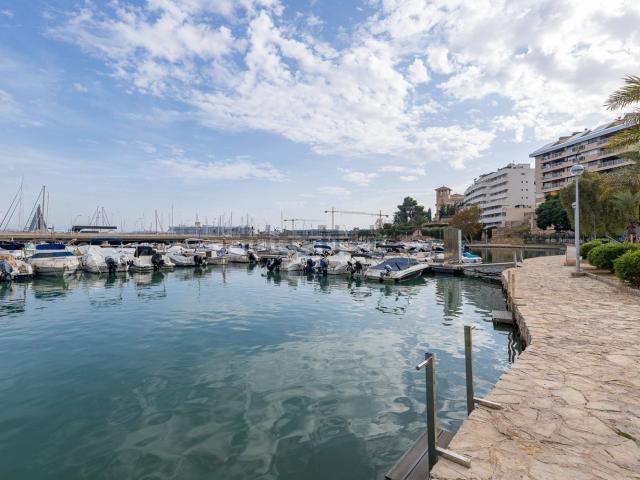 Piso, El Terreno, Palma de Mallorca
