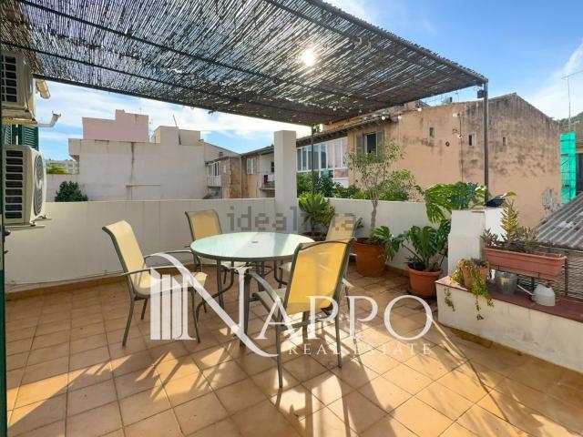Piso, El Terreno, Palma de Mallorca