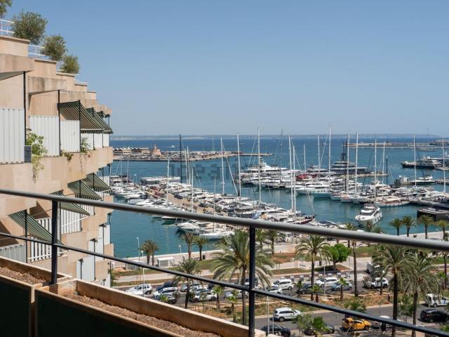 Piso, El Terreno, Palma de Mallorca
