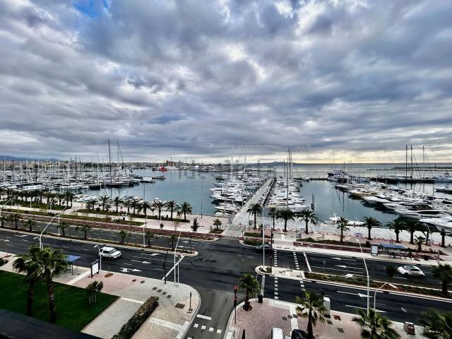 Piso, El Terreno, Palma de Mallorca