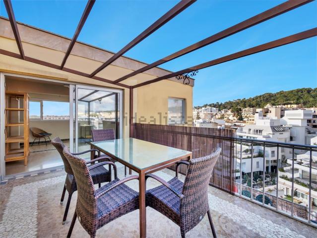 Piso, El Terreno, Palma de Mallorca