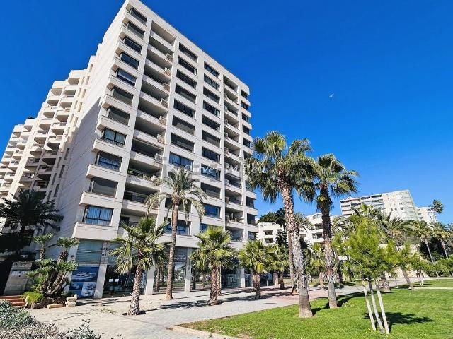 Piso, El Terreno, Palma de Mallorca