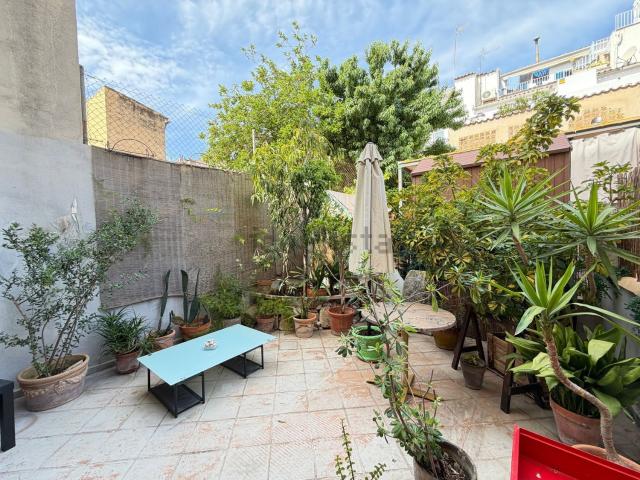 Piso, El Terreno, Palma de Mallorca