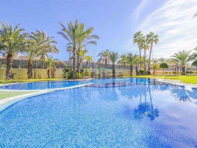 Piso, Elche / Elx