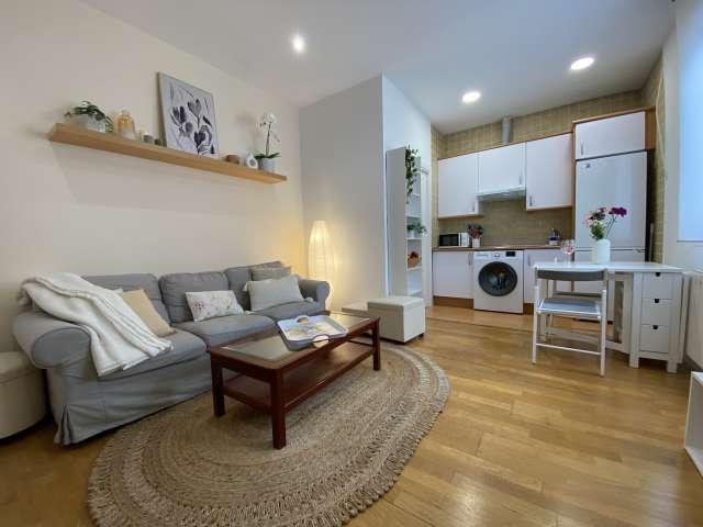 Piso en alquiler de 1 dormitorio en Castillejos, Madrid