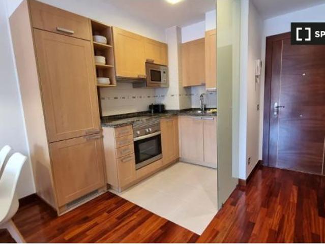 Piso en alquiler de 1 dormitorio en Oviedo