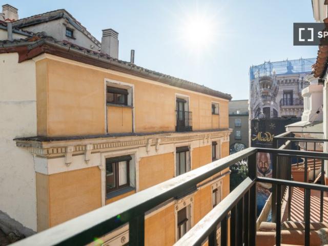 Piso en alquiler de 1 dormitorio en Plaza Mayor, Madrid